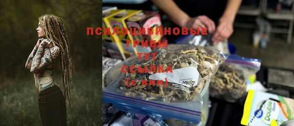 крисы Алексеевка
